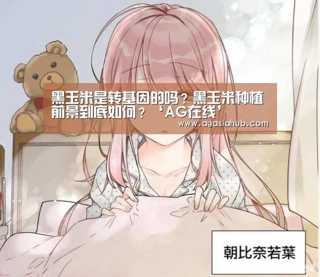 AG视讯
