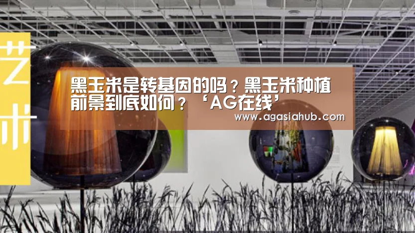 AG在线