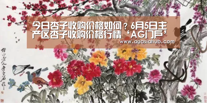 AG网站