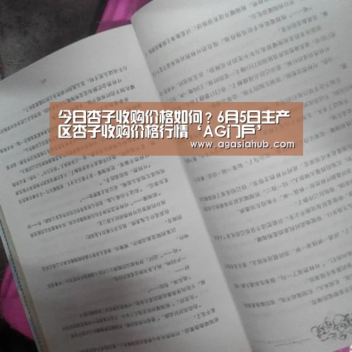 AG网站