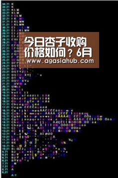 AG视讯