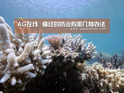 AG门户