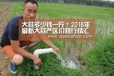 AG在线