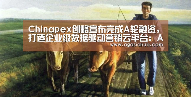 AG在线