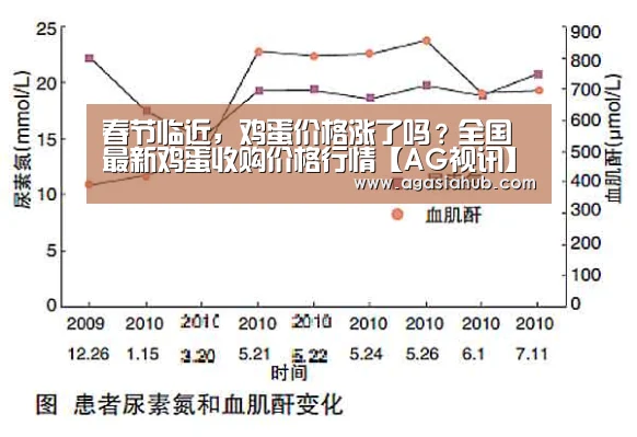 春节临近,鸡蛋价格涨了吗?全国最新鸡蛋收购价格行情【AG视讯】(图1) AG视讯