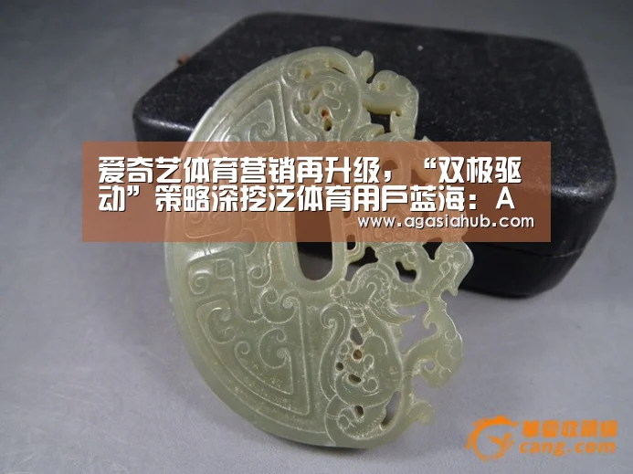 爱奇艺体育营销再升级,“双极驱动”策略深挖泛体育用户蓝海:AG网站(图1) AG网站