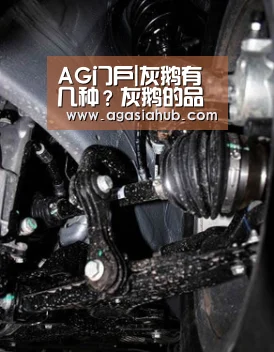 AG视讯