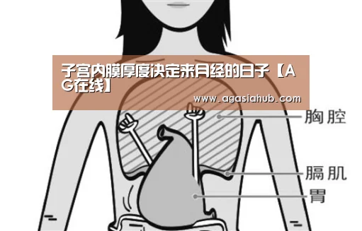 子宫内膜厚度决定来月经的日子【AG在线】(图1) AG在线