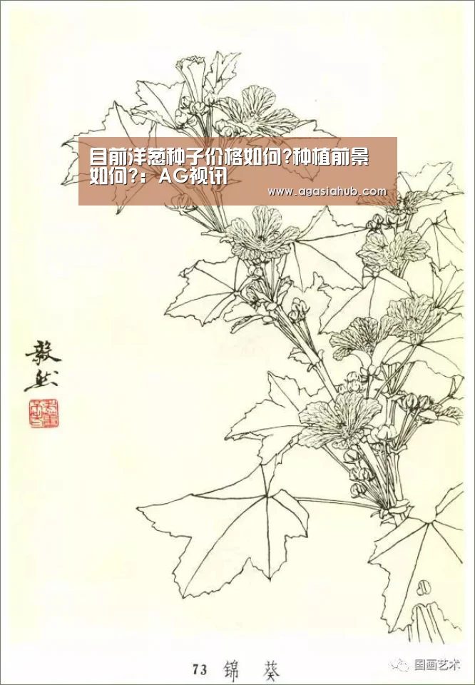 目前洋葱种子价格如何?种植前景如何?:AG视讯(图4) AG在线