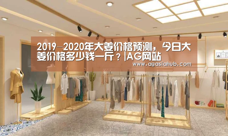 2019-2020年大姜价格预测,今日大姜价格多少钱一斤?|AG网站(图1) AG网站