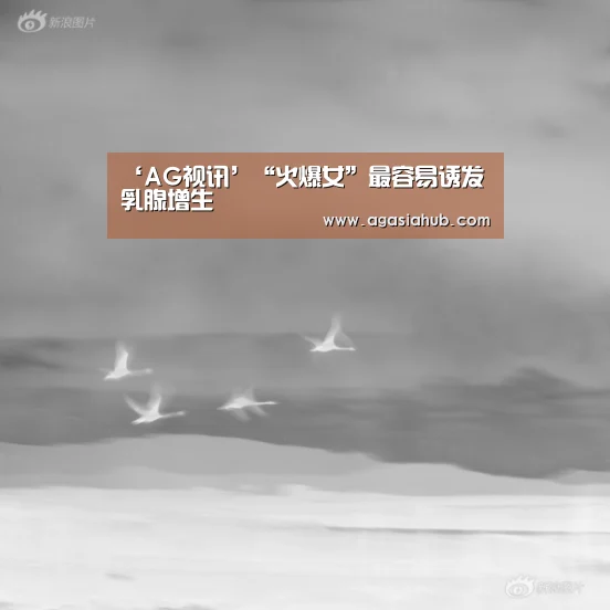 AG在线