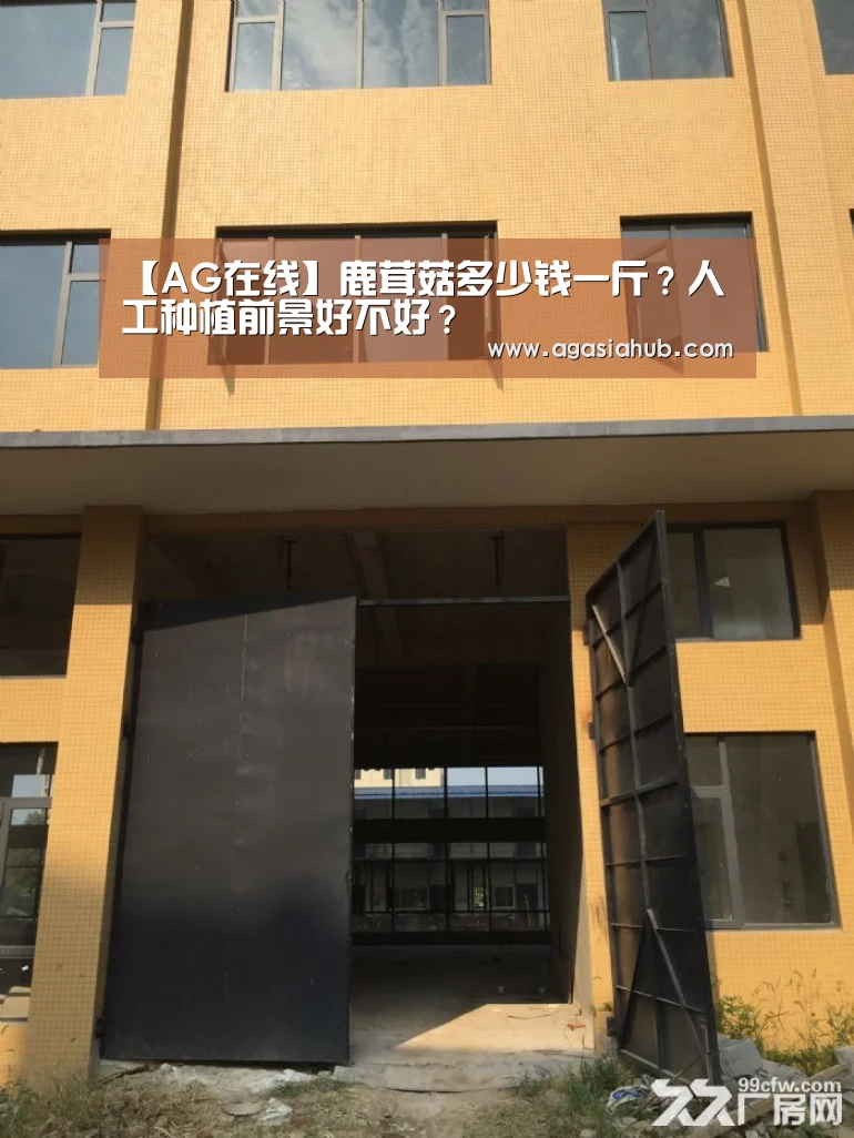AG门户