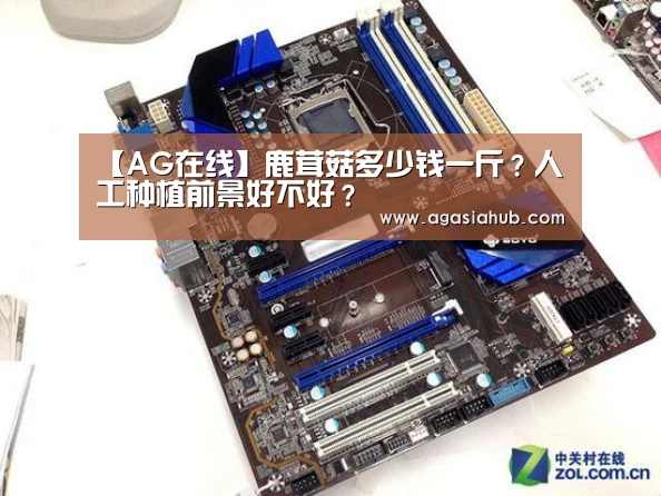 AG网站