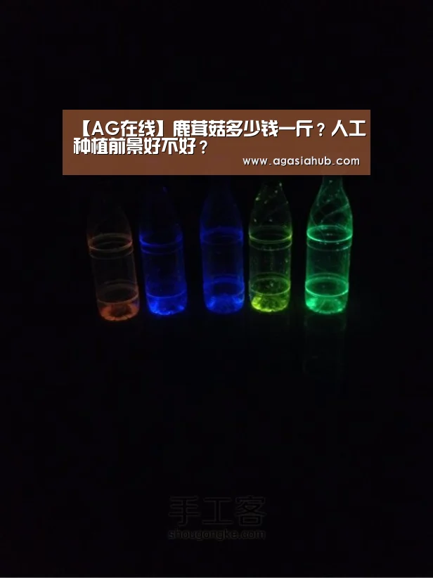 AG网站