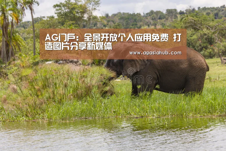 AG视讯