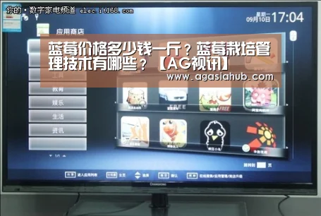 蓝莓价格多少钱一斤?蓝莓栽培管理技术有哪些?【AG视讯】(图3) AG门户