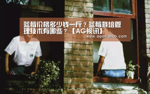 蓝莓价格多少钱一斤?蓝莓栽培管理技术有哪些?【AG视讯】(图2) AG网站