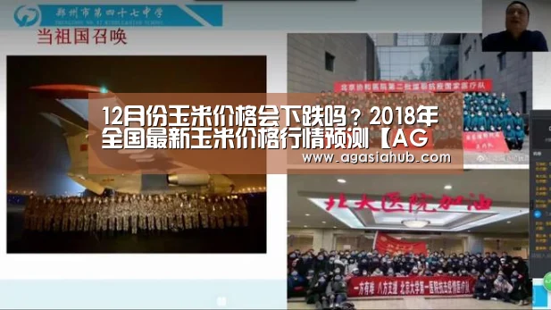12月份玉米价格会下跌吗?2018年全国最新玉米价格行情预测【AG在线】(图2) AG门户